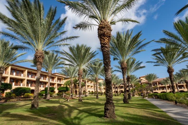 luxury hospitality experience at famous global hotel