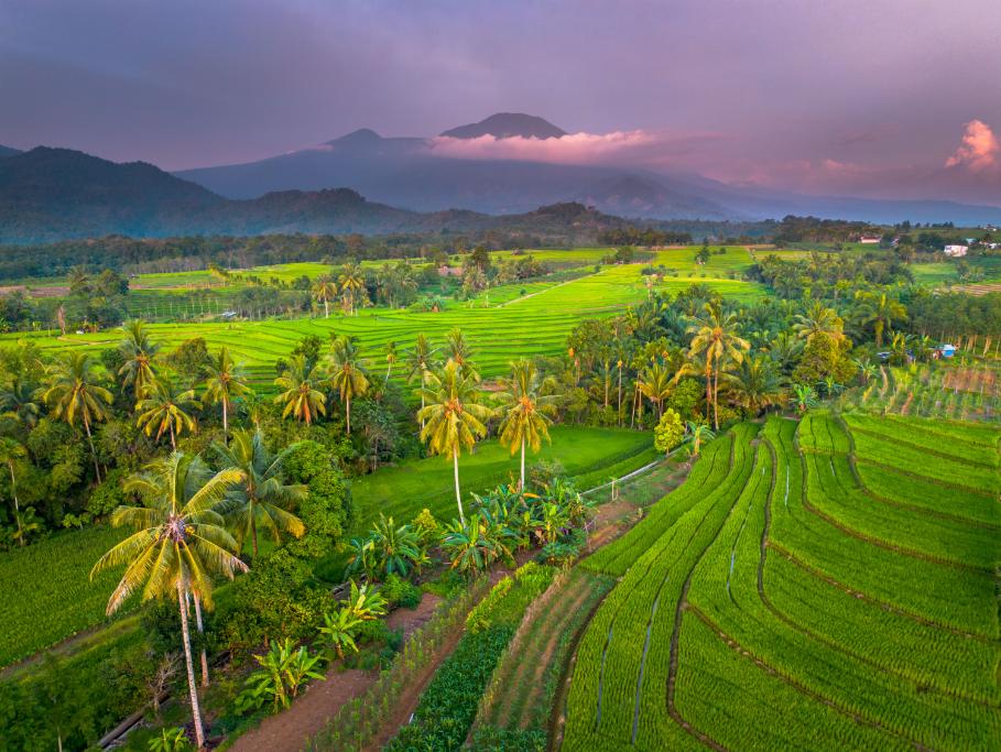 Bali tropical paradise island travel destination