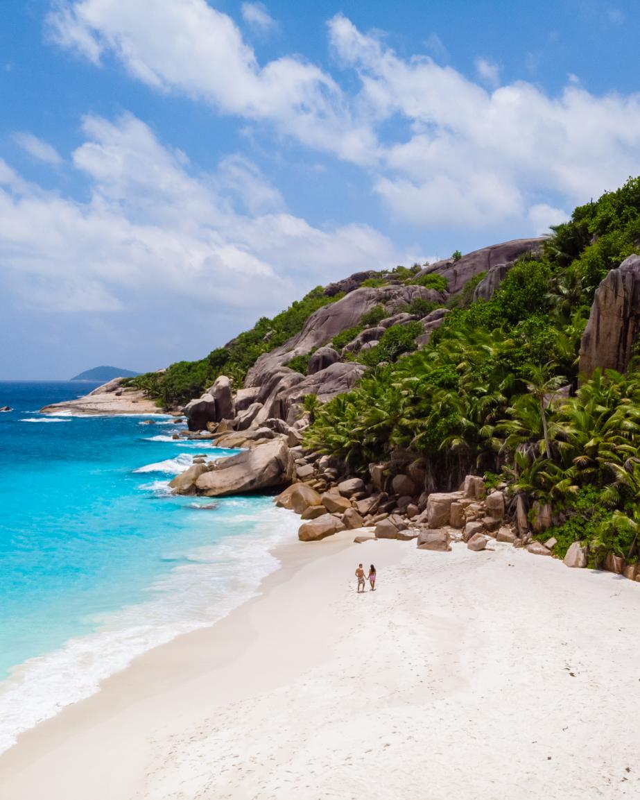 untouched tropical beach surrounded by nature