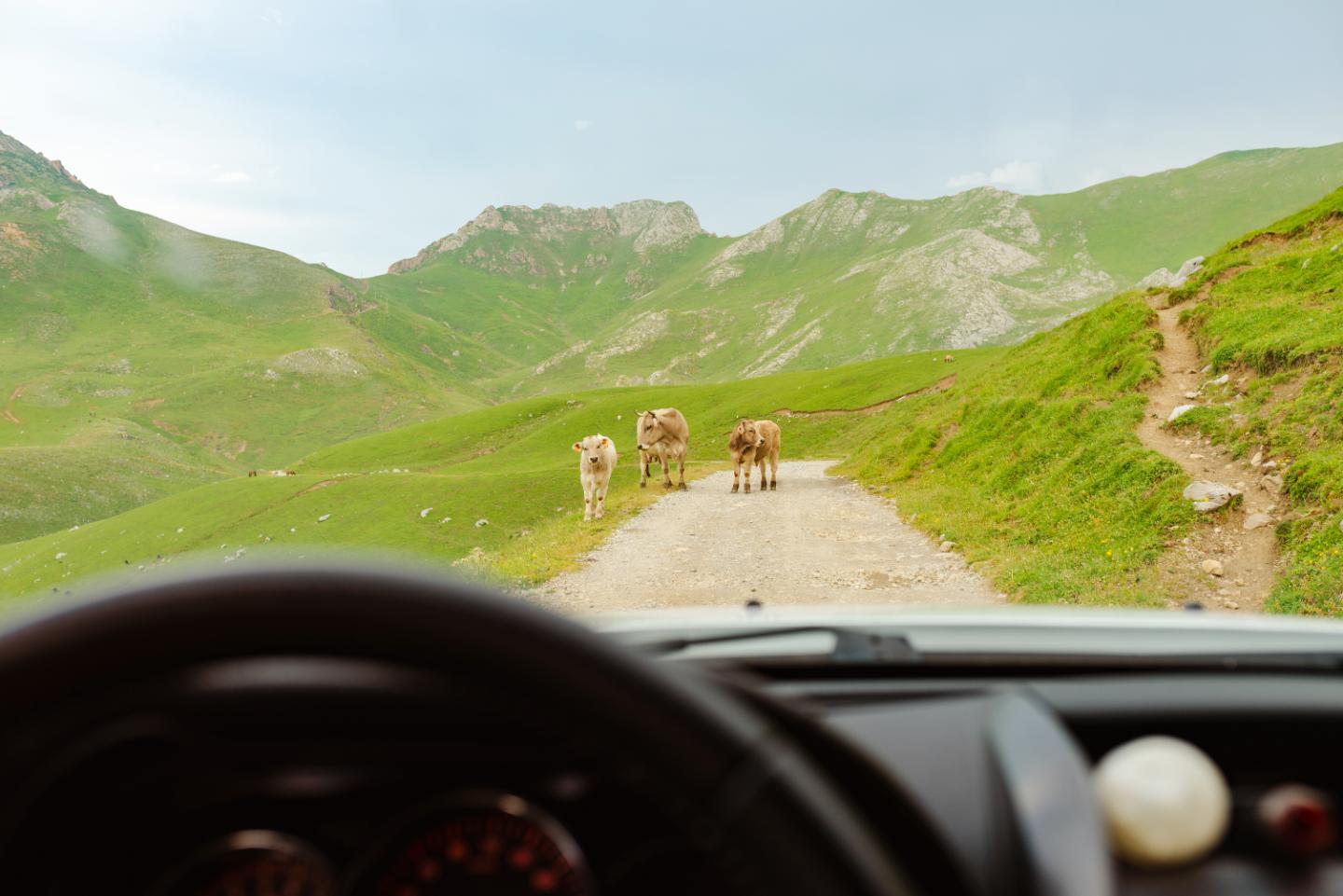 Turquoise Mediterranean waters along the French Riviera coast