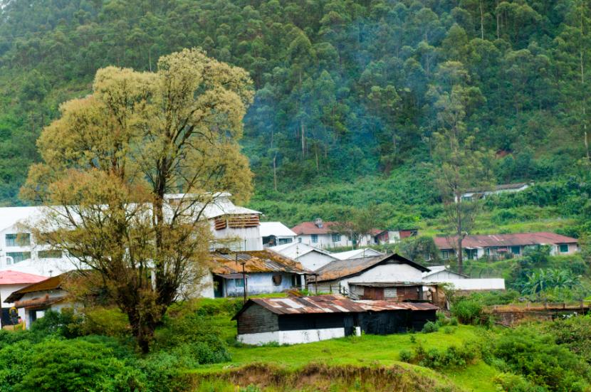 Untouched alpine valley landscape in Pahan Valley Jammu and Kashmir

